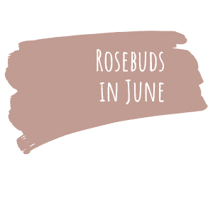 Miss Lillians Rosebuds in June